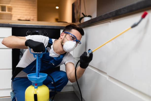 Best Commercial Pest Control Services  in Green Meadows, OH