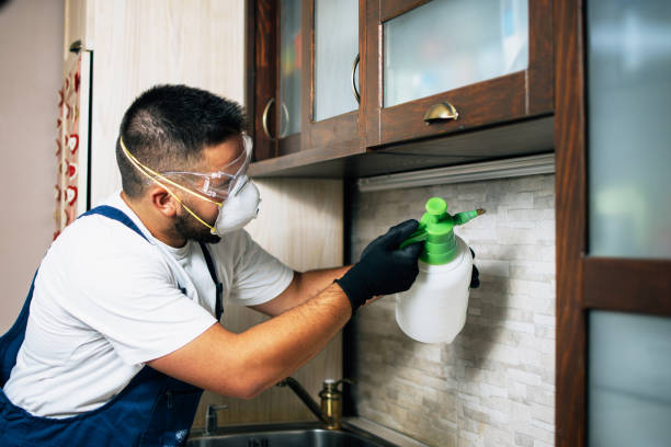 Best Wildlife Control Services  in Green Meadows, OH