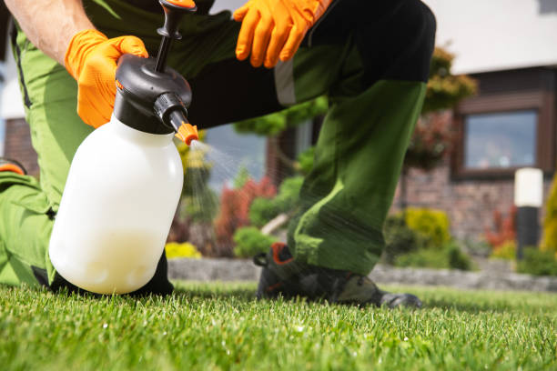 Best Commercial Pest Control Services  in Green Meadows, OH