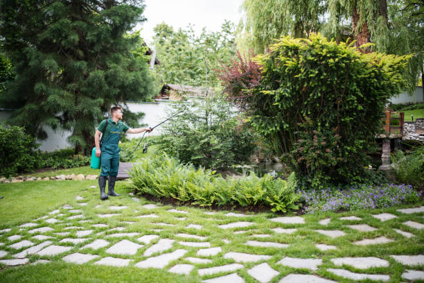Best Exterminator Services  in Green Meadows, OH