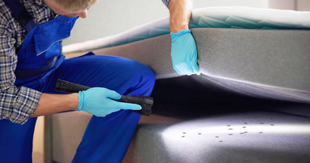 Best Affordable Pest Control Services  in Green Meadows, OH
