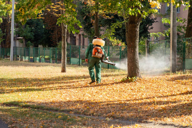 Best Pest Inspection Near Me  in Green Meadows, OH