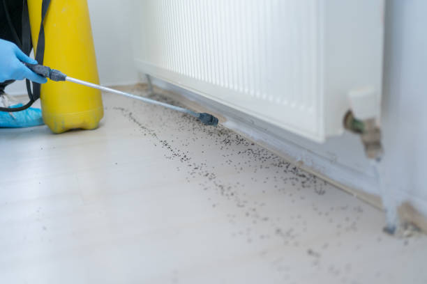 Best Emergency Pest Control  in Green Meadows, OH