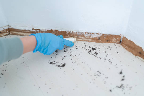 Best Best Pest Control Companies  in Green Meadows, OH